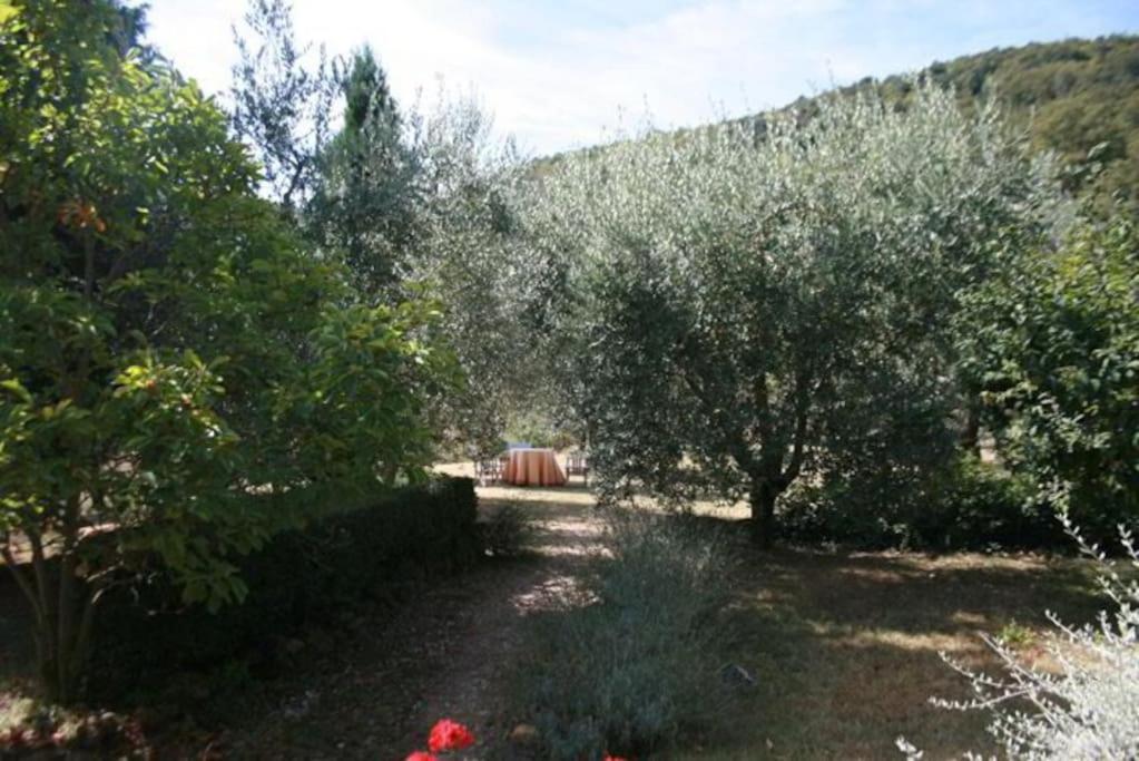 Podere Gli Oppi Toscana Villa Petroio Luaran gambar