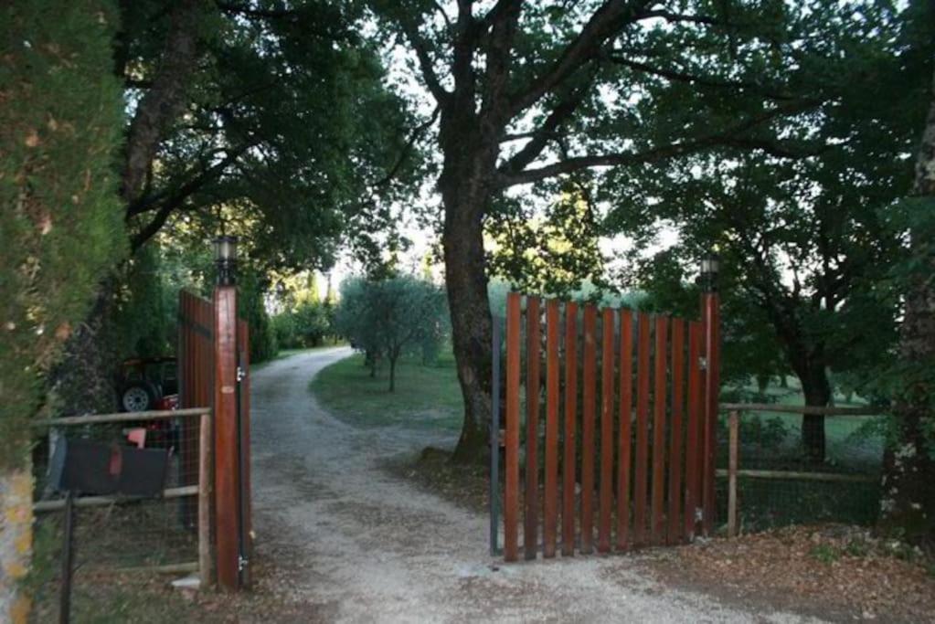 Podere Gli Oppi Toscana Villa Petroio Luaran gambar