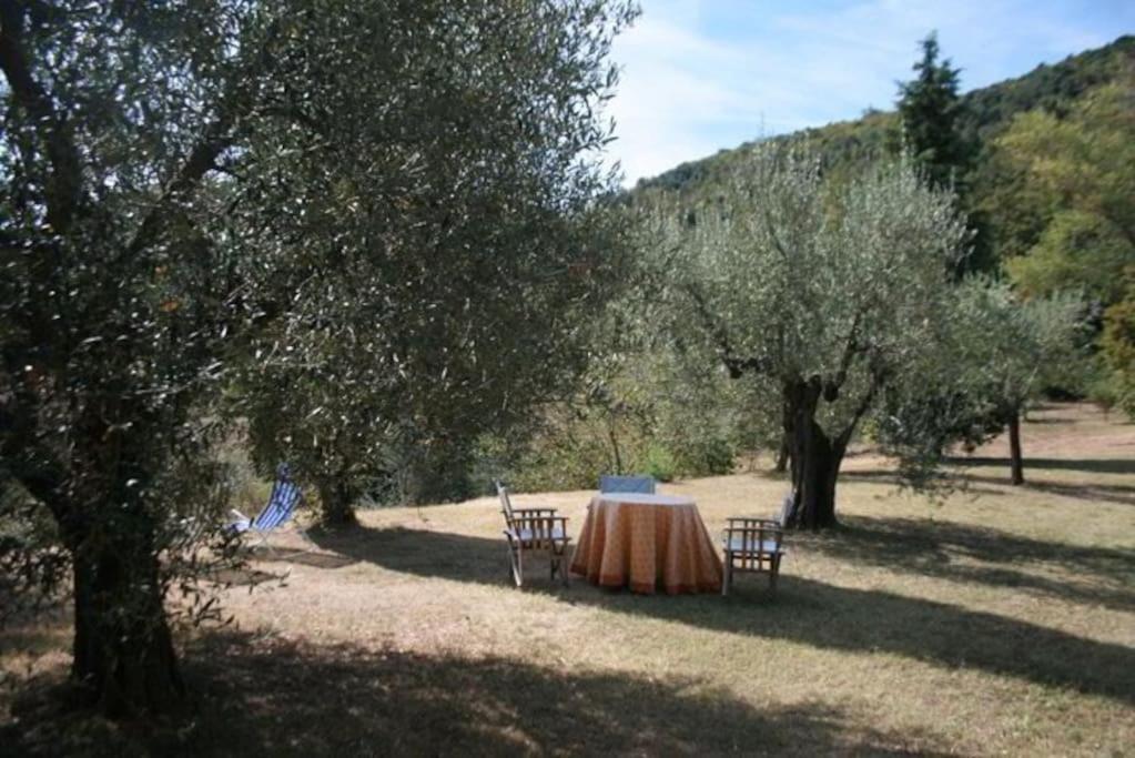 Podere Gli Oppi Toscana Villa Petroio Luaran gambar